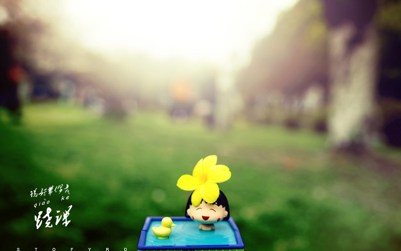 园林植保配件背垫，哪种材料更舒适