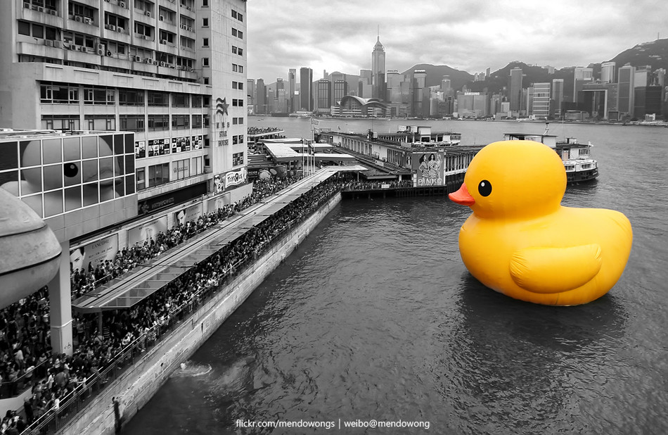 割草机背包批发可以去哪里买？